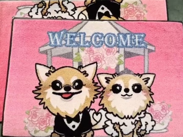 地墊巡邊修邊切割機(jī)